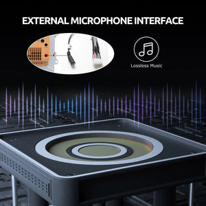 Audio Quality Evaluation